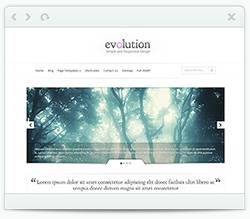 website design